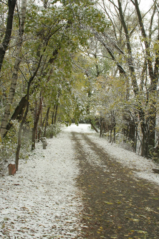 IMG_0809.JPG"%20height="800"%20width="533